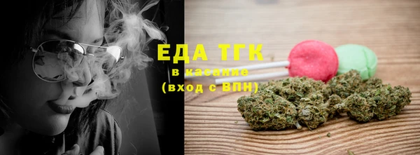 гашик Гусев
