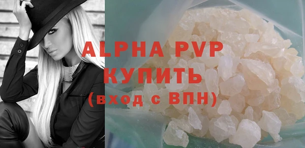 гашик Гусев