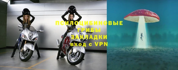гашик Гусев