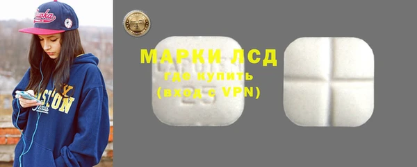 гашик Гусев