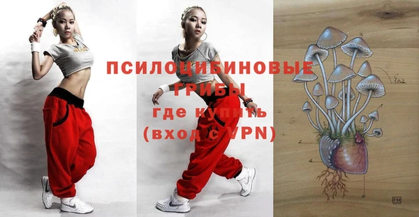 дурь Гусиноозёрск