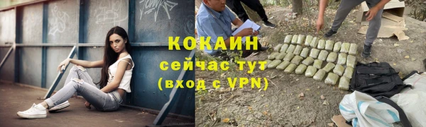 дурь Гусиноозёрск