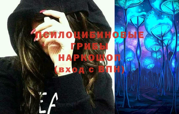 дурь Гусиноозёрск